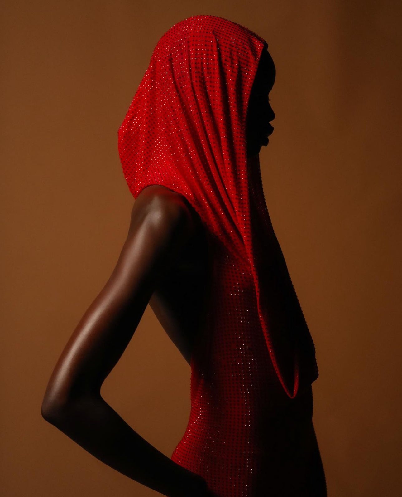 Red Crystalized Hooded Dress - Theophilio