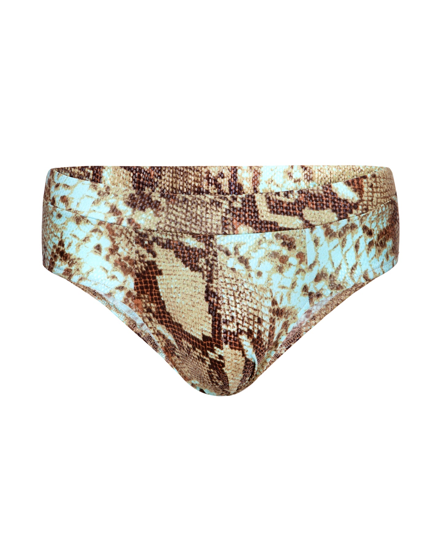 Blue Snake Brief - Theophilio