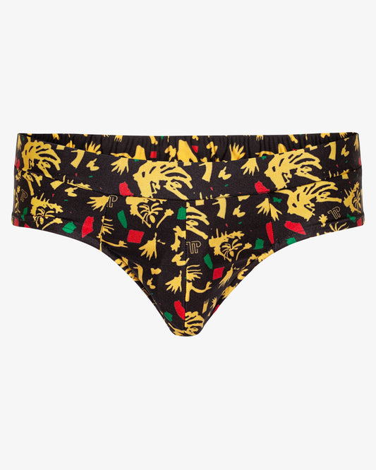 Bashment Brief